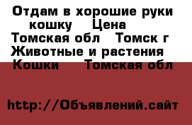 Отдам в хорошие руки кошку  › Цена ­ 5 - Томская обл., Томск г. Животные и растения » Кошки   . Томская обл.